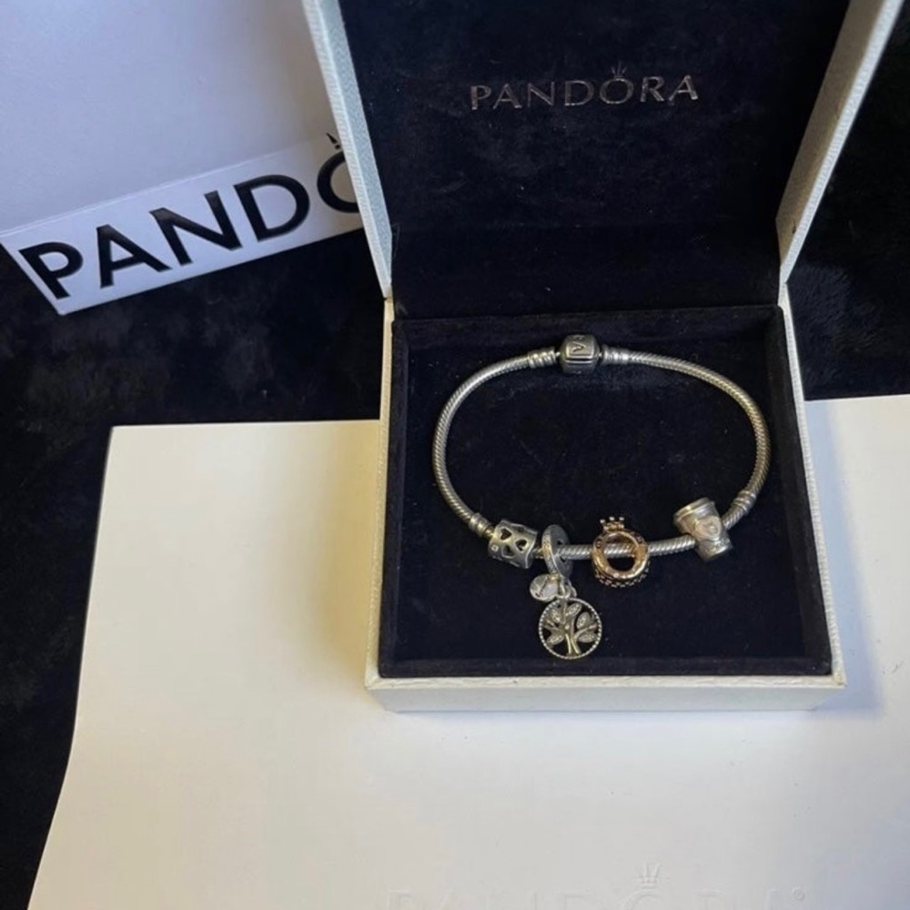 Pandora Bracelet with Charms